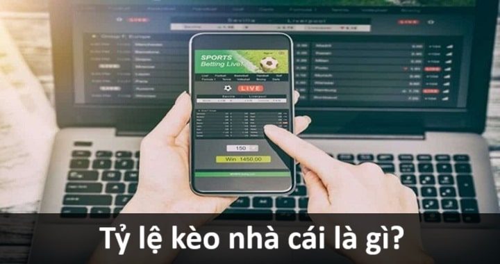 Giới thiệu chung về tỷ lệ kèo nhà cái